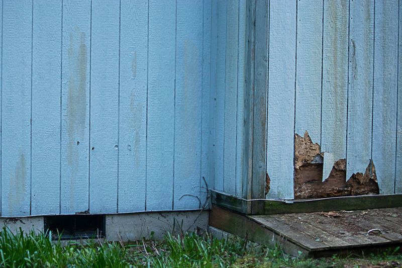 Treated Wood Siding Repair