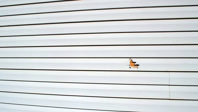 Damage Assessment by Experts